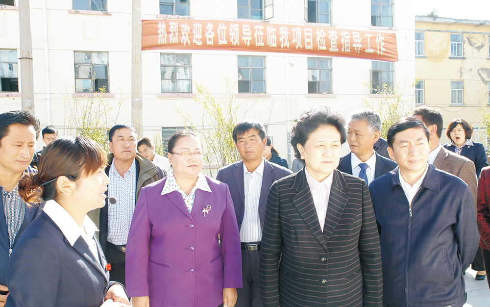 时任中央政治局委员，国务院副总理、党组成员刘延东视察湖北恒峰g22集团青海项目部