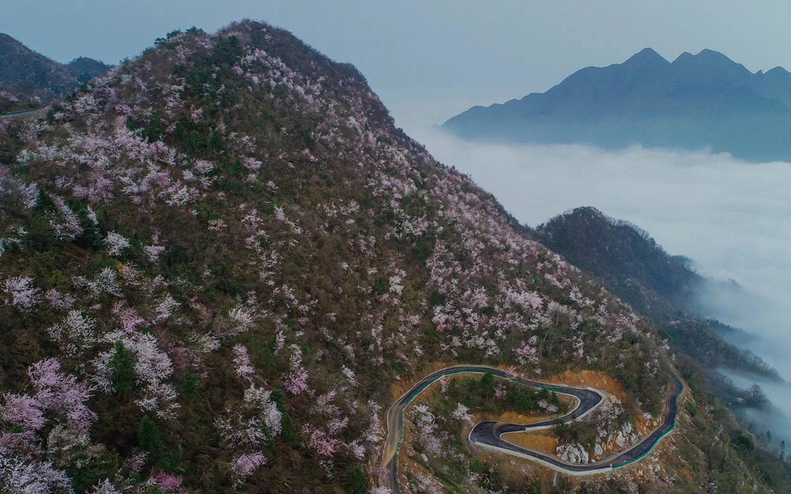 恒峰g22(国际)官网入口-每天有惊喜