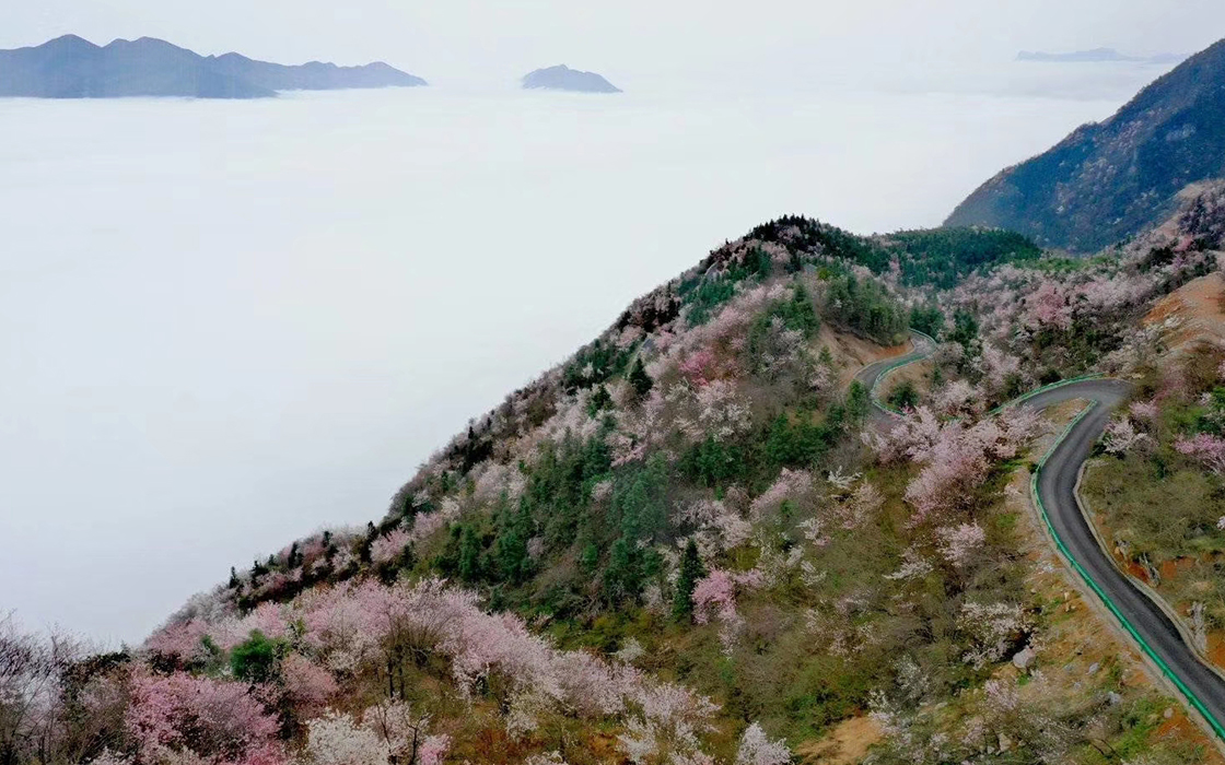 恒峰g22(国际)官网入口-每天有惊喜