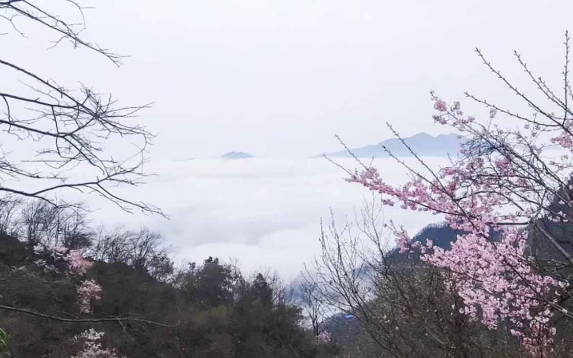 恒峰g22(国际)官网入口-每天有惊喜