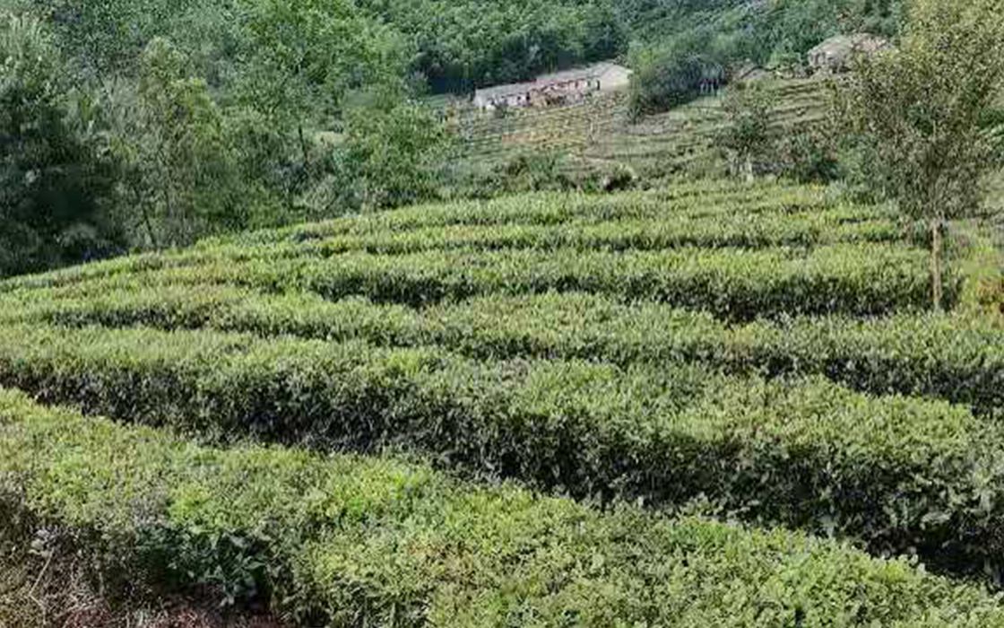 恒峰g22(国际)官网入口-每天有惊喜