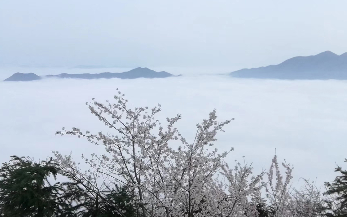 恒峰g22(国际)官网入口-每天有惊喜
