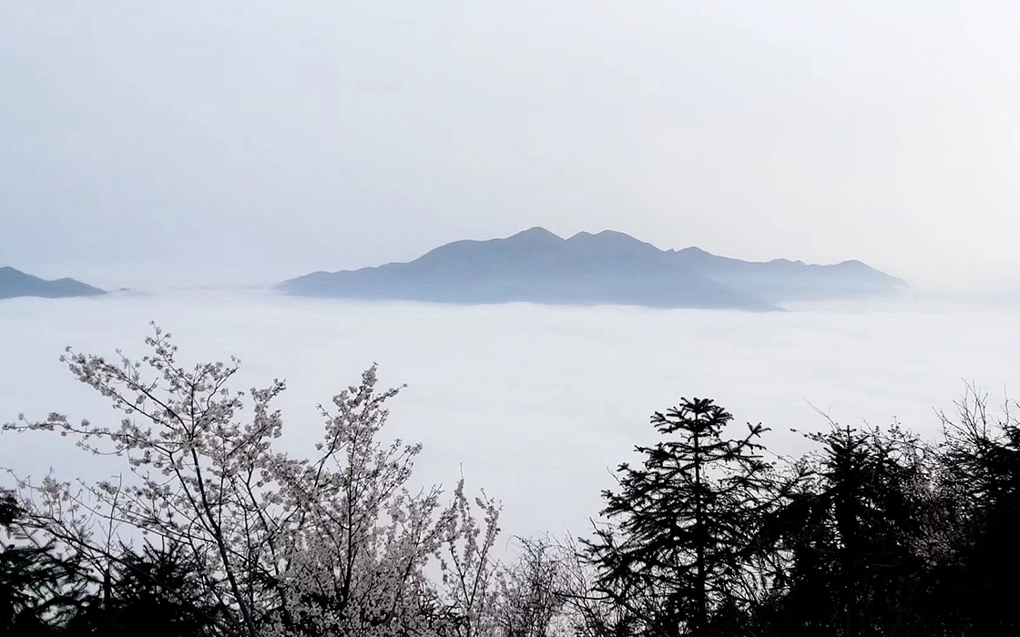 恒峰g22(国际)官网入口-每天有惊喜