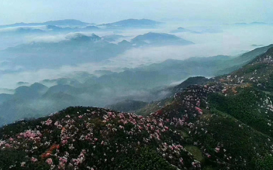 恒峰g22(国际)官网入口-每天有惊喜