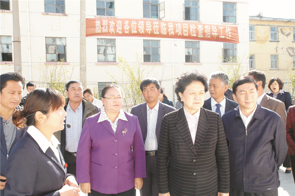 4中央政治局委员，国务院副总理、党组成员刘延东视察湖北恒峰g22集团青海项目部 